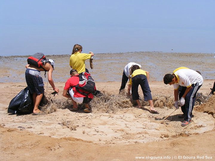 Green Gouna Day Beach 130